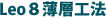 主な特徴